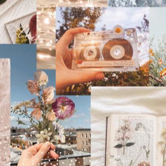 Meet your Posher, Cindy - Picture 1 of 1